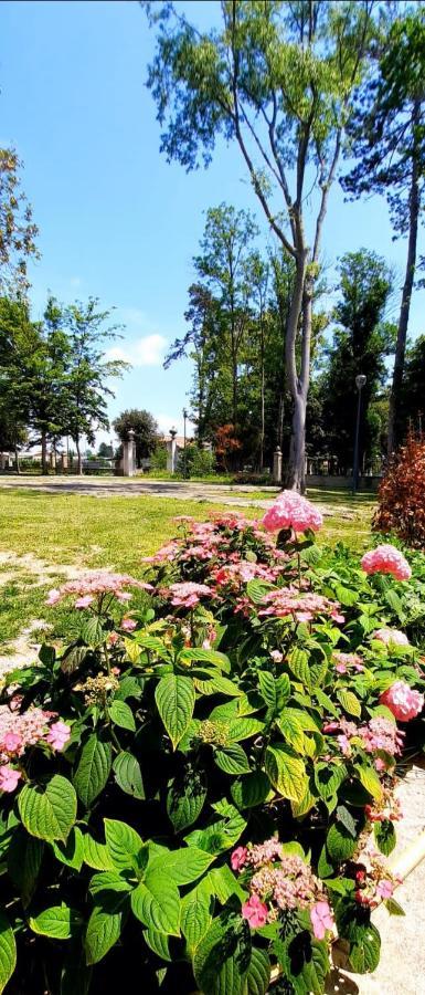 Agroturismo Trovatore *